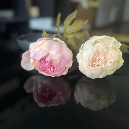 Διαμέρισμα Pegadas No Mar Ribeira