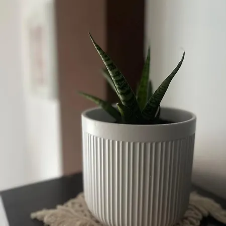 Apartamento Pegadas No Mar Ribeira