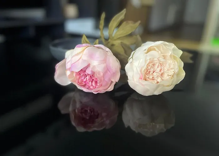 アパート Pegadas No Mar リベイラ