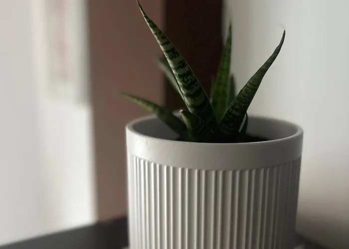 アパート Pegadas No Mar リベイラ